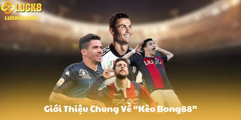 Giới Thiệu Chung Về “Kèo Bong88” Trên Luck8