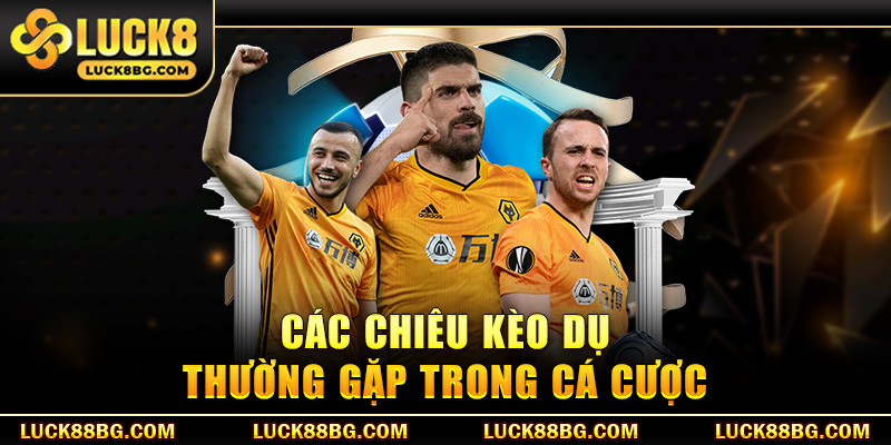 Các chiêu kèo dụ thường gặp trong cá cược